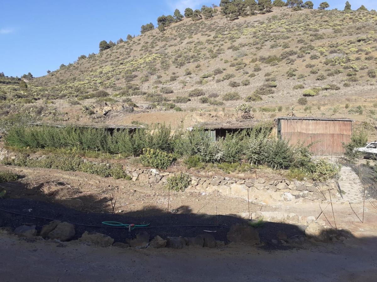Casa Rural Los Santillos El Pinar  Exterior photo